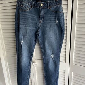 Women's Mediun Wash Distressed Minimalist Jegging Jeans by Curve Appeal